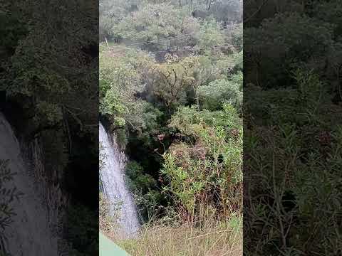 #caminhoparaumavidamelhor #serra #paraná #turvo #ecopark #pousadas #gralha azul