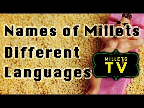 download lagu mp3 mp4 Foxtail Millet In Telugu Name, download lagu Foxtail Millet In Telugu Name gratis, unduh video klip Foxtail Millet In Telugu Name