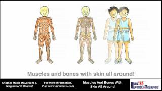 Muscles And Bones With Skin All Around