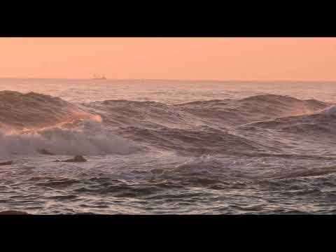 Zori de zi, Stefan Hrusca-Vasile Seicaru