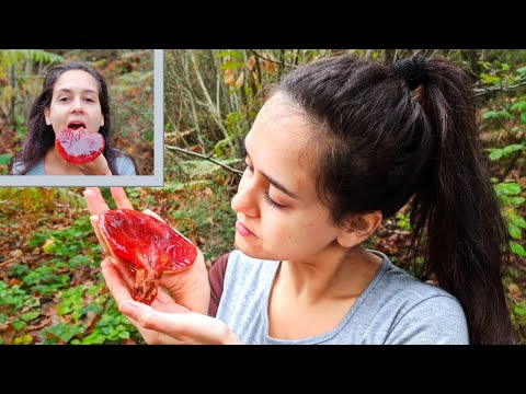 MANGIO LA FISTULINA HEPATICA PER LA PRIMA VOLTA!