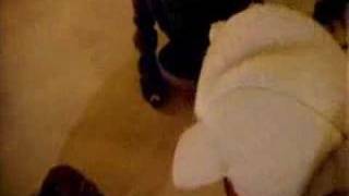 Miracle Fortress - Maybe Lately