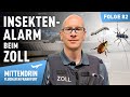 Das Große Krabbeln Insektenalarm Beim Zoll Mittendrin Flughafen Frankfurt 82