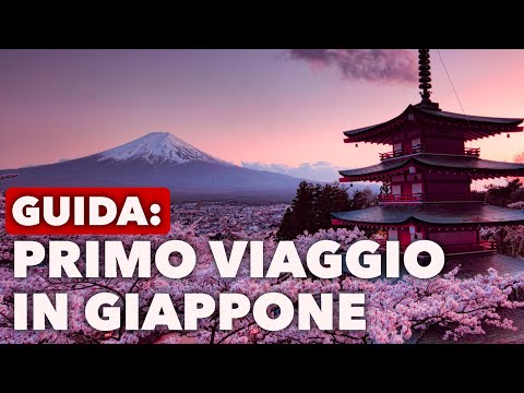 Cose Che DEVI Sapere Prima Di Partire Per Il Giappone!