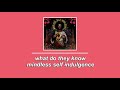 Mindless Self Indulgence What Do They Know Slowed