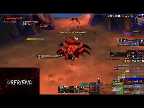 Fankriss the Unyielding - Warrior POV | World of Warcraft Vanilla