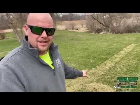 Do Not Dethatch Your Lawn