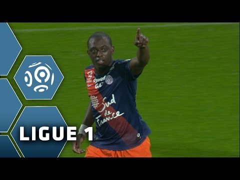 But Jérôme ROUSSILLON (24') / Montpellier Hérault SC - FC Nantes (2-1) -  (MHSC - FCN) / 2015-16