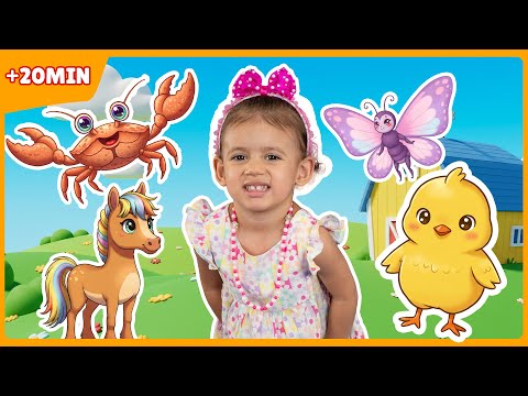 Pintinho Amarelinho - Upa Cavalinho + 20 Minutos - Vídeo Músical Infantil