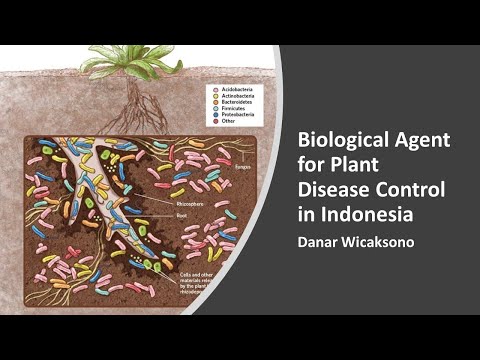 , title : 'Biological Agent for Plant Disease Control in Indonesia'