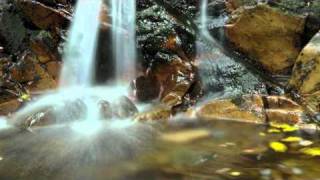 "Old Flames Can't Hold A Candle To You" -  (Mick Foster and Tony Allen)