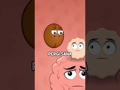 Ngopi Menghilangkan Kantuk??? #animasidolewak #animasiorgantubuh