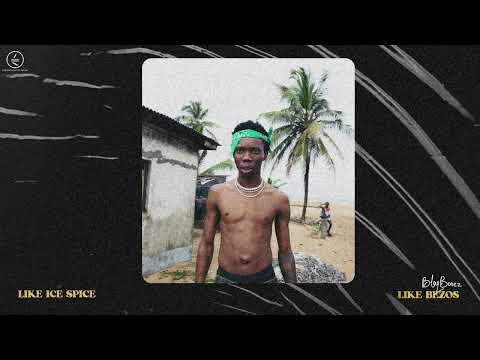 Blaqbonez - Like Ice Spice (Official Audio)
