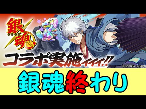 銀魂ファン必見！生放送で語るパズドラ雑談の魅力とは？