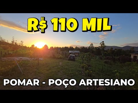 Vídeo