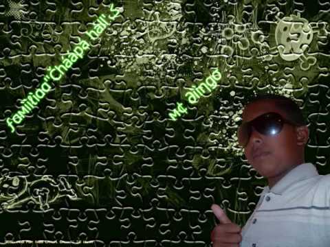 Mc Dingo Mc Rafinha - Zé povinho