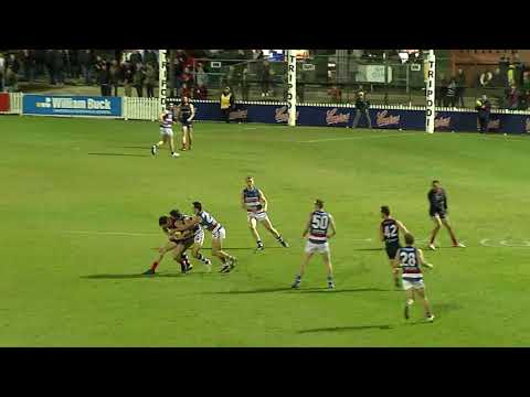 Norwood's Cameron Taheny - Round 17 Statewide Super League