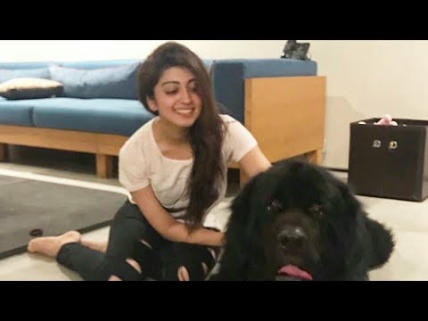 Pranitha subhash playing with cute  pet Dog