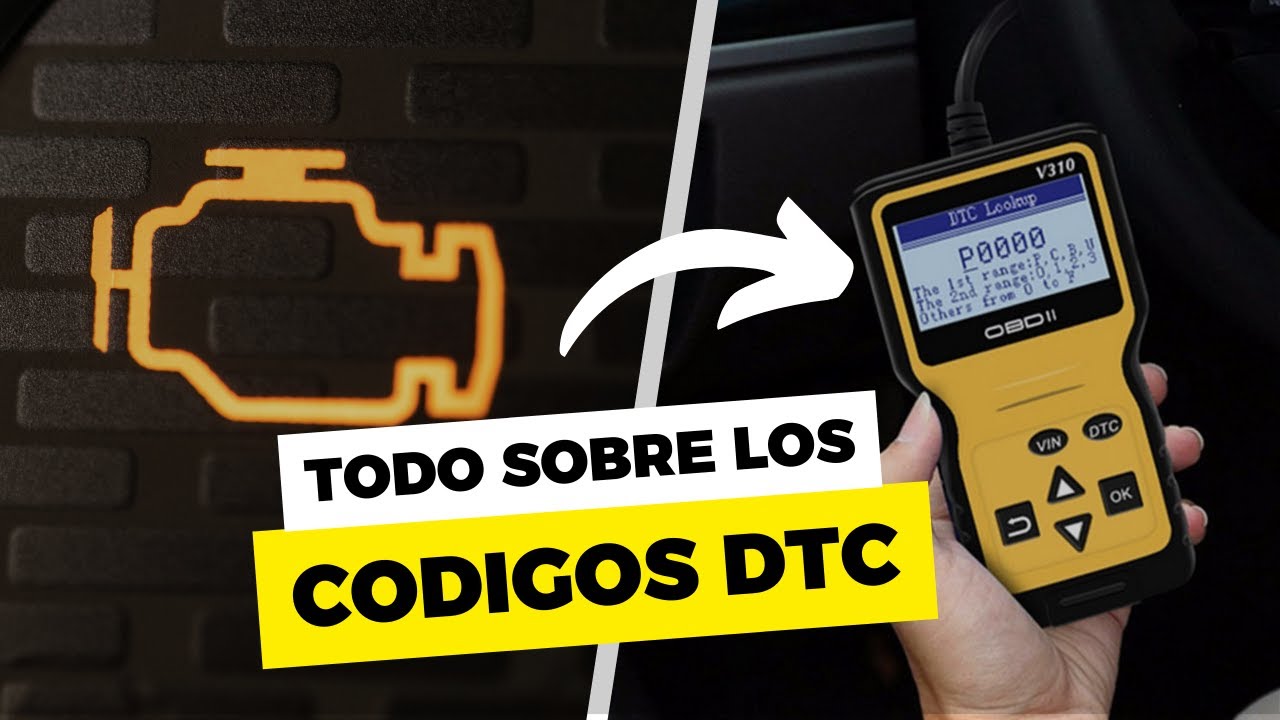 Miniatura del video
