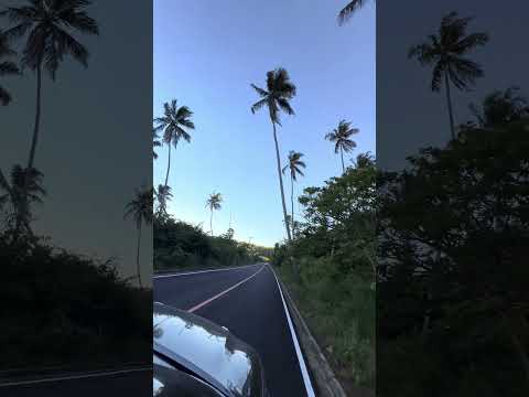 Jequia - França - Alagoinhas