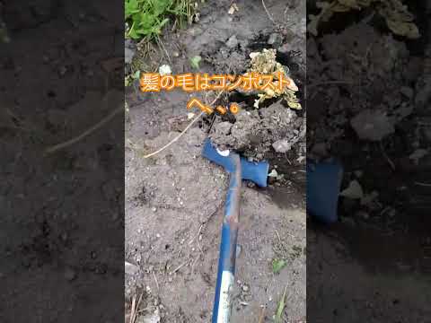 髪の毛で天然堆肥を作るには？肥沃な土壌を作るための完全ガイドはこれです！  庭園