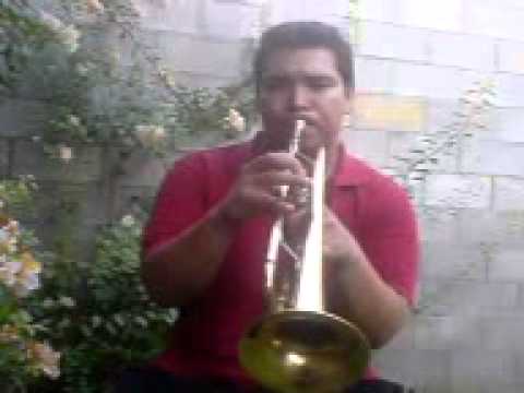 La Pantera Rosa (The Pink Panther)