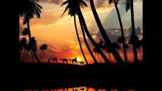 James Asher & Sivamani - Hang Fire