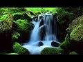 MOUNTAIN STREAM Nature Sounds (10 Hours) Relax, Meditate, Sleep