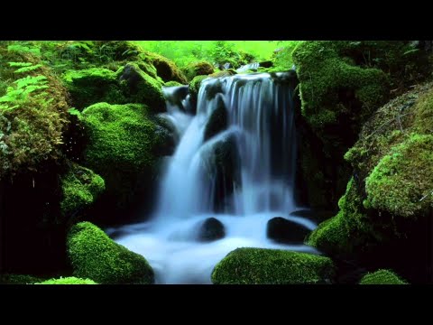 MOUNTAIN STREAM Nature Sounds (10 Hours) Relax, Meditate, Sleep Video