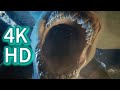 Aquaman And The Lost Kingdom FIGHT SCENE 4K ULTRA HD 5 7