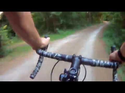 Kotoo töihin - 01/08/2019