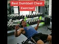 The Best Dumbbell Exercise for the Chest!