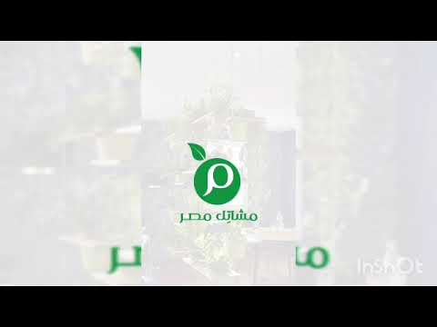 مشاتل مصر video thumbnail