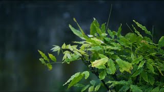 صورة هل الدعاء للأرحام والاستغفار لهم يعد صله ..؟