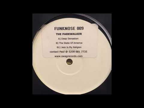 The Parkwalker  -  The State Of America