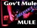 Gov't Mule-Mule LIVE-6-30-1999