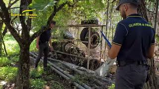 scoperto-e-sequestrato-il-cimitero-delle-automobili-abbandonate