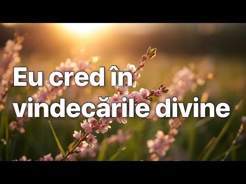 Eu cred în vindecările divine (Cover)