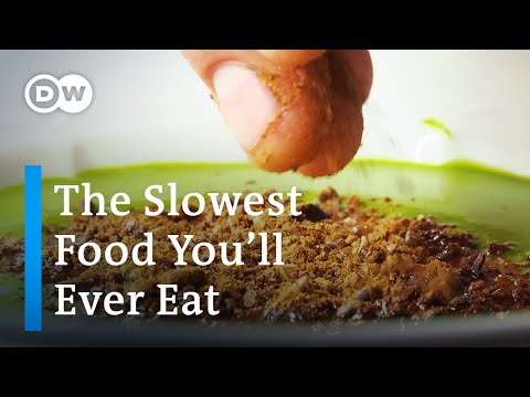 Forgotten Food From Albania | Slow Food From Bledar Kola's "Mullixhiu" | DW Food