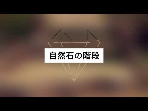 園芸 日本の階段