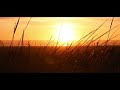 Hum Toh Deewane Elvish Yadav Whatsapp Status Song With 30 Second Trandingsong Viral