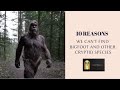 10 Reasons Why We Can T Find Bigfoot And Other Cryptid Species