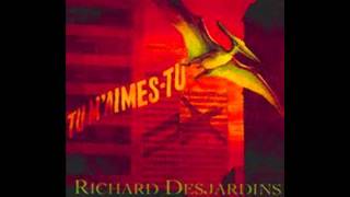 Le bon gars-Richard Desjardins