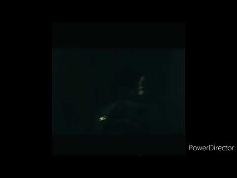 Peso- Da Don Freestyle