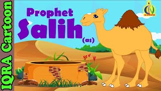 Video: Story of Prophet Salih - Iqra Cartoon