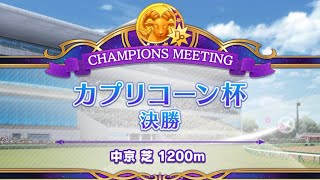 カプリコーン杯2023 決勝