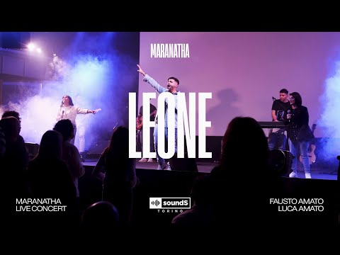 LEONE (LION) | SoundS Torino & Fausto Amato e Luca Amato