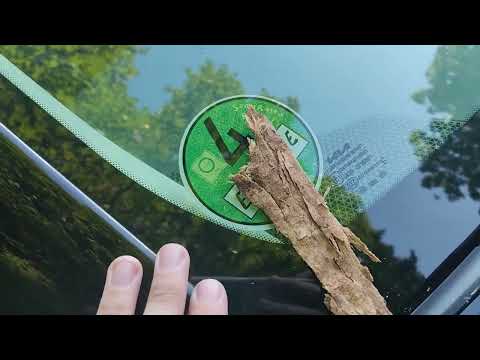 Umweltplakette am E-Auto? Kia EV6 | Ioniq 5 | Tesla | Etron | ID.4 | ID.5 | BMW i4 | Ioniq 6