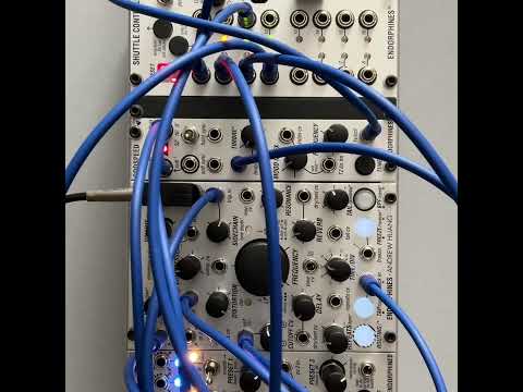 NEW! 42hp Endorphin.es case