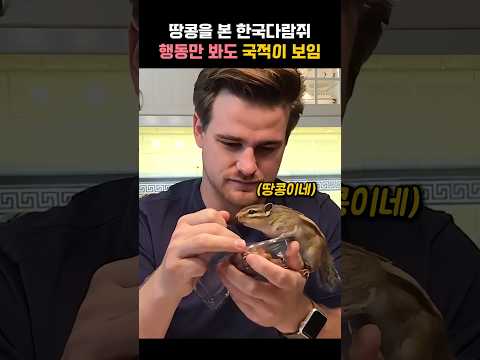 땅콩을 본 한국다람쥐 #동물 #다람쥐